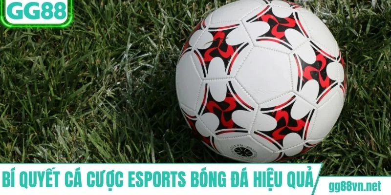 Bí quyết cá cược esports bóng đá hiệu quả