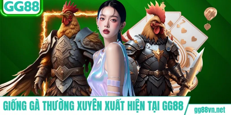 Giống gà thường xuyên xuất hiện tại GG88