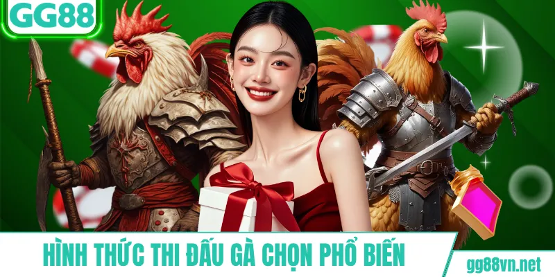 Hình thức thi đấu gà chọn phổ biến